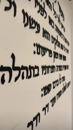 ⁦מזמור לתודה⁩ – תמונה ⁦9⁩
