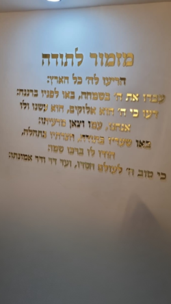 ⁦מזמור לתודה⁩ – תמונה ⁦11⁩