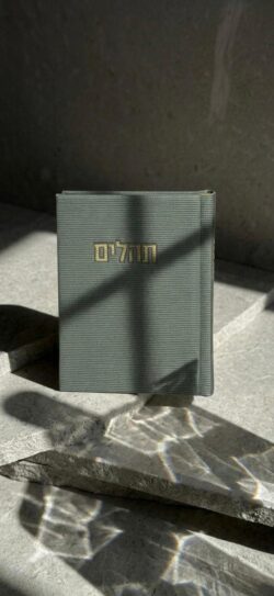 ⁦תהילים קורדרוי- ירוק⁩ – תמונה ⁦2⁩