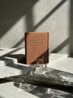 ⁦תהילים קורדרוי- חום אדמה⁩ – תמונה ⁦5⁩