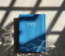 ⁦סידור מבד קורדרוי- צבע כחול רויאל⁩ – תמונה ⁦5⁩