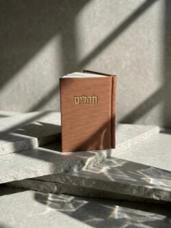 ⁦תהילים קורדרוי- חום אדמה⁩ – תמונה ⁦4⁩