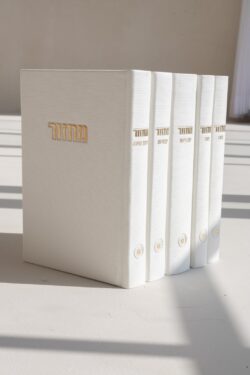 ⁦סט מחזורים קורדורוי- לבן⁩ – תמונה ⁦2⁩