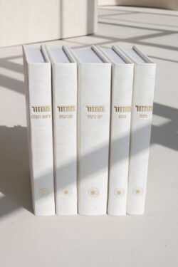 ⁦סט מחזורים קורדורוי- לבן⁩ – תמונה ⁦7⁩
