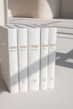 ⁦סט מחזורים קורדורוי- לבן⁩ – תמונה ⁦8⁩