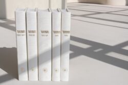 ⁦סט מחזורים קורדורוי- לבן⁩ – תמונה ⁦4⁩